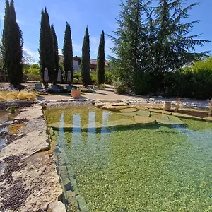 https://puravida-lodge.hotels-rhonealpes.com